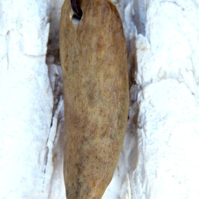 Fundstück eines fossilen Walzahns