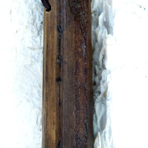 fossiles Walross Naturanhänger