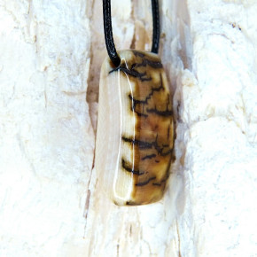 Rindenanhänger toll gefärbt