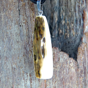 Rindenanhänger mit schöner Färbung