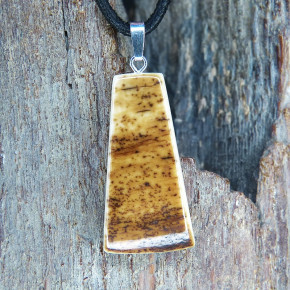 Rindenanhänger mit schöner Färbung