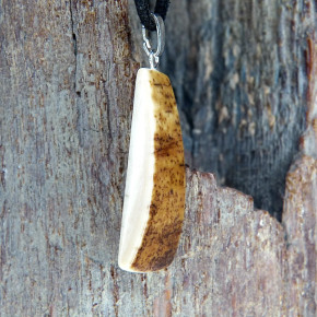 Rindenanhänger mit schöner Färbung