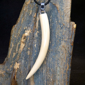 großer Zahnanänger XL