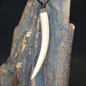 großer Zahnanänger XL