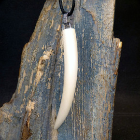 großer Zahnanänger XL