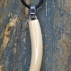 großer Zahnanänger XL