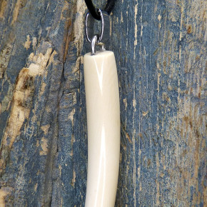 großer Zahnanänger XL