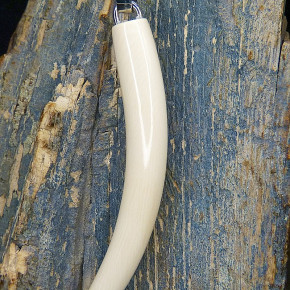 großer Zahnanänger XL