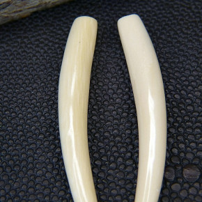 1 Paar Ersatzstoßzähne aus Mammut ca. 55mm lang