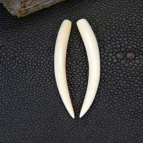 1 Paar Ersatzstoßzähne ca. 45mm lang