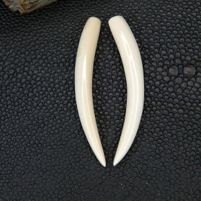 1 Paar Ersatzstoßzähne ca. 45mm lang