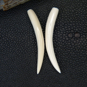 1 Paar Ersatzstoßzähne ca. 45mm lang
