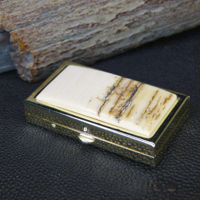 Pillendose mit 2 Fächern