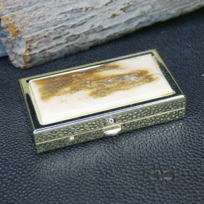 Pillendose mit 2 Fächern