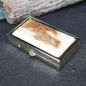 Pillendose mit 2 Fächern