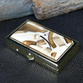 Pillendose mit 2 Fächern