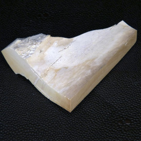 Mammut-Abschnitt cremefarben