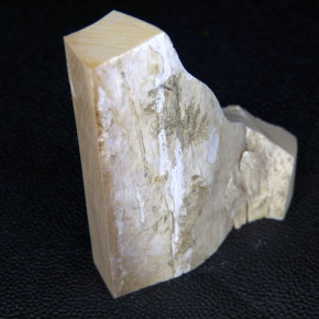 Mammut-Abschnitt cremefarben