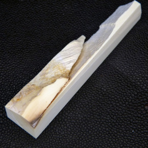 Mammut-Abschnitt ca. 18x16x89mm