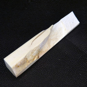 Mammut-Abschnitt ca. 18x16x89mm