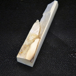 Mammut-Abschnitt ca. 18x16x89mm