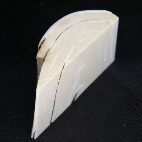 Mammut-Abschnitt ca. 55x74x27mm