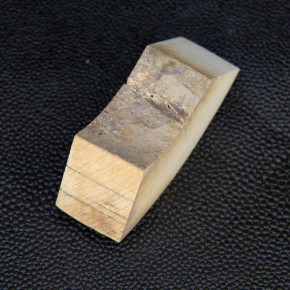 Mammut-Abschnitt bräunlich ca. 16,5 mm dick