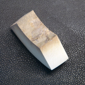 Mammut-Abschnitt bräunlich ca. 16,5 mm dick