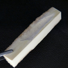 Mammut-Dreikant mit Rinde ca. 84 x 15,5 x 16,5mm