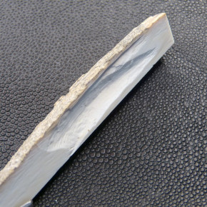 Mammut-Dreikant mit Rinde ca. 84 x 15,5 x 16,5mm