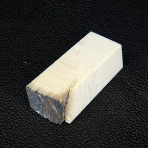 Mammut-Block mit Rinde ca. 41 x 17 x 8 bis 16mm