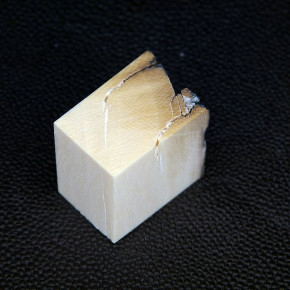 Mammut-Block mit Rinde ca.24,5 x 27 x 17,5mm