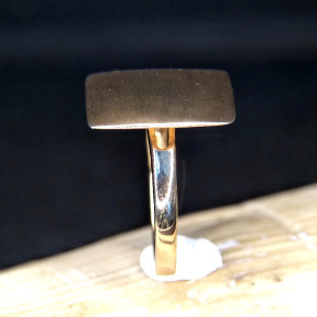 Silberring vergoldet teilmattiert W18,8