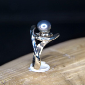 Silberring mit grauer Süßwasserperle W17 bis 18,5