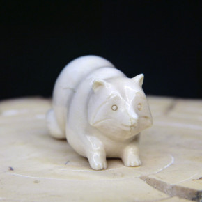 Waschbär aus Mammut