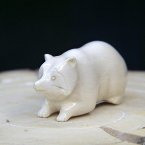 Waschbär aus Mammut