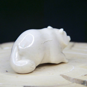 Waschbär aus Mammut