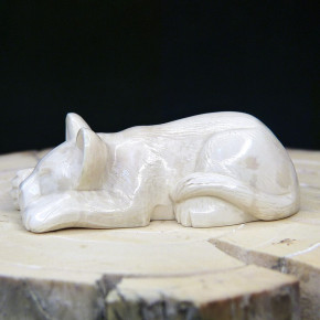 schlafendes Löwenbaby aus Mammut