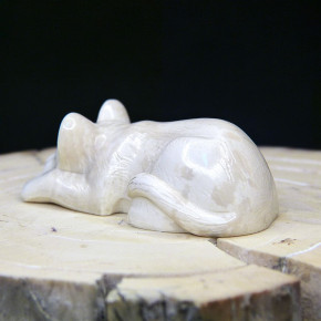 schlafendes Löwenbaby aus Mammut