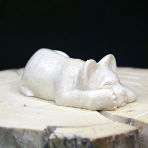 schlafendes Löwenbaby aus Mammut