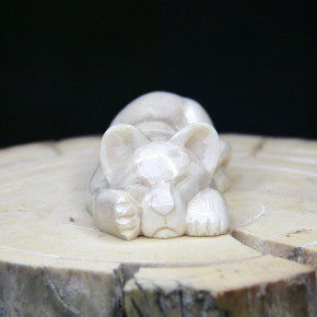 schlafendes Löwenbaby aus Mammut