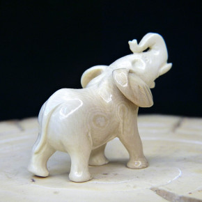 kleiner Elefant aus Mammut