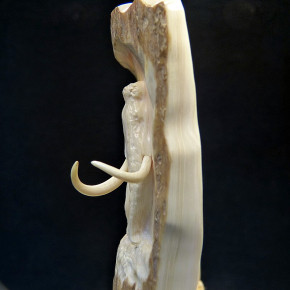 Mammut-Relief aus der Rinde