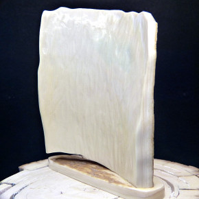 Mammut-Relief aus der Rinde