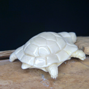 kleine Schildkröte aus Mammut