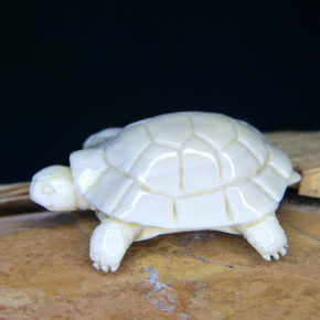 kleine Schildkröte aus Mammut