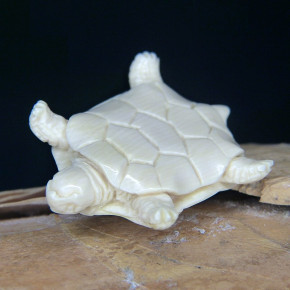 kleine Schildkröte aus Mammut