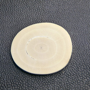 Querschnitt aus der Zahnkern ca. 46 x 43 x 2mm