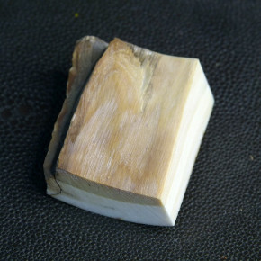 Mammut-Abschnitt mit brauner Färbung ca.39 x 34 x 14 - 17mm