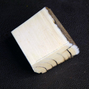 Mammut-Abschnitt mit Rinde ca. 40 x 40 x 24mm